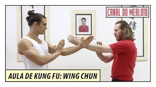 AULA DE KUNG FU WING CHUN PARA INICIANTES  ARTE MARCIAL [upl. by Acinoj]