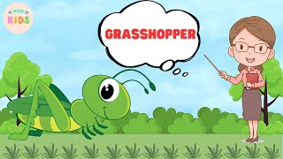 Grasshopper Facts For Kids 😊 Learn All About Grasshoppers  MON Kids [upl. by Airpal]