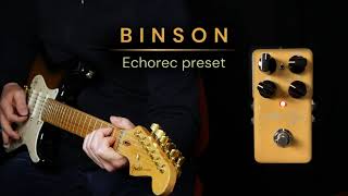 TC Electronic Alter Ego V1 Delay  Binson Echorec and Memory Man Presets No talking [upl. by Htennaj879]