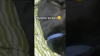 Mummy ka dar dog ko bhi🥺 funny comedy memes scream hearttouchmusic [upl. by Maurits]