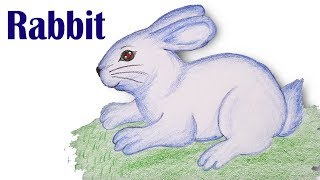 How to draw RabbitStep by stepeasy draw [upl. by Nohtahoj]