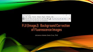 FIJI ImageJ Background Correction of Fluorescence Images [upl. by Galligan]