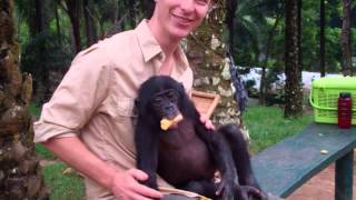 Oshwe the bonobo and Eliot Schrefer have breakfast [upl. by Sidon]