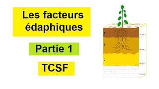 Les facteurs édaphiques tronc commun BIOF  Partie 1 [upl. by Adam]