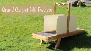 Grand Carpet Mill Review [upl. by Aslin]