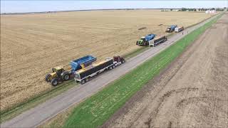 Grain Cart Race 2018 [upl. by Nailliw6]