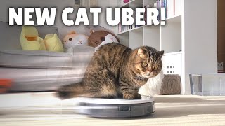 My Robot Vacuum Transformed into a Cat Uber  Kittisaurus [upl. by Roid941]