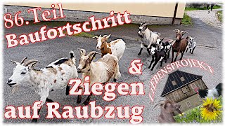 Ziegen auf Raubzug  Baufortschritt 86 Projekt Fachwerkhaus [upl. by Rubina]