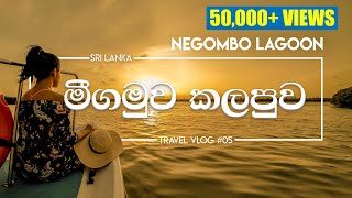 Negombo Lagoon  One Day Trip  Sri Lanka  VLOG5 [upl. by Akiehs]