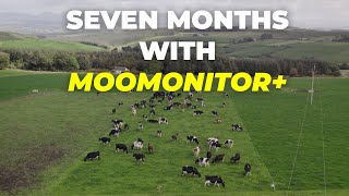 Seven Months with MooMonitor [upl. by Wirth430]