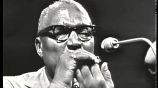 Sonny Terry amp Brownie McGhee Hooray Hooray These Women is Killing Me [upl. by Huai809]