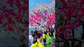 Beautiful places in china 🇨🇳 travel nature chinatravel beauty [upl. by Lach]