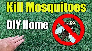 Mosquito Control Home and Yard Spraying [upl. by Meehaf600]