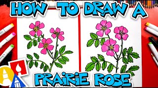 How To Draw A Prairie Rose Flower [upl. by Jeri]