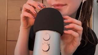 ASMR Foam Mic Scratching Tapping amp Whispering 🦋 [upl. by Eerised]