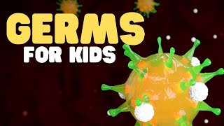 Germs for Kids  Learn all about bacteria viruses fungi and protozoa [upl. by Archaimbaud]