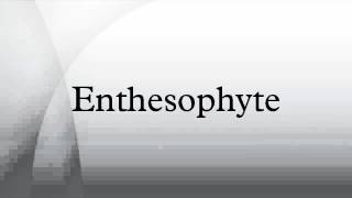 Enthesophyte [upl. by Terzas]