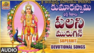 Vel Vel Vel murga Song  Palani Muruga Songs  Kumara Swamy Songs  Subrahmanya Seara Swami Songs [upl. by Eciram]