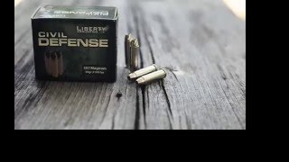 FAST amp FURIOUSLiberty Ammo 10mm Overwatch vs Civil Defense [upl. by Shulman]