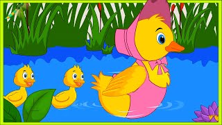 Five Little Ducks  Nursery Rhyme for Kids [upl. by Mw916]