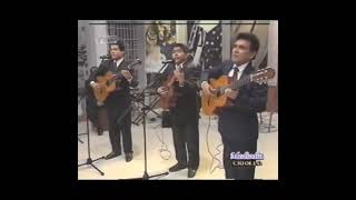 Alma corazón y vida • Los Embajadores Criollos 2001 shorts LosÍdolosDelPueblo musicacriolla [upl. by Satterlee82]