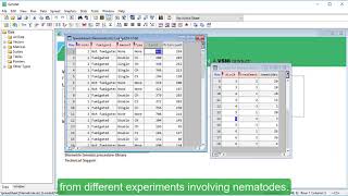 Saving and exporting data in Genstat [upl. by Alyacim661]