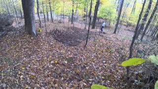 Planting Ginseng in Forests [upl. by Bartley]