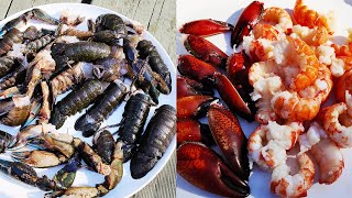 Ultimate Yabby catch and cook big yabbies for morning tea [upl. by Ainna]