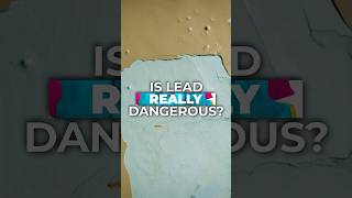 Is lead really dangerous Lead based paint ban [upl. by Ainolopa597]