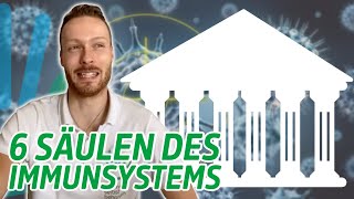 Säulen unseres Immunsystems  Aufbauen amp Stärken [upl. by Ahsoyek]