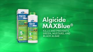 STEP 5 – ALGICIDE Pool Time® [upl. by Gensmer]