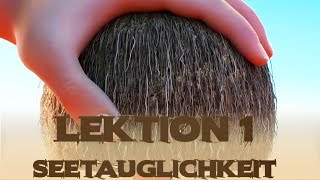 VAIANA  Lektion 1 Seetauglichkeit  Disney HD [upl. by Nuahs630]