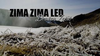 Dražen Zečić  Zima zima led Official lyric video [upl. by Jaime]