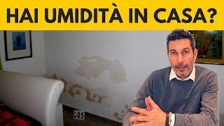 Umidità in casa come eliminarla DEFINITIVAMENTE [upl. by Dickens]