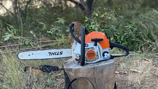 Stihl MS211 Cutting Down Timber For Massive BloodWood Tree [upl. by Otrebmuh]