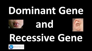 Dominant Gene and Recessive Gene  Genetics  Science [upl. by Manoop]