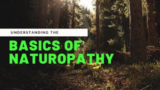 Understanding The Basics Of Naturopathy [upl. by Yenots]