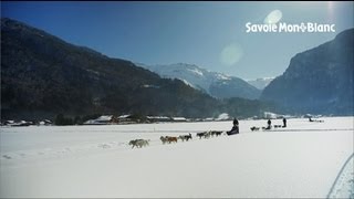 Chiens de traîneaux à Samoëns [upl. by Lavona692]