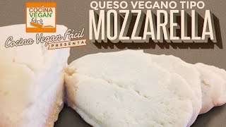 Queso tipo mozzarella  Cocina Vegan Fácil [upl. by Rj]