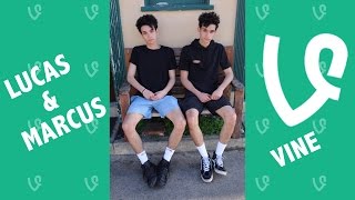 Lucas and Marcus NEW Vines 2016  Vine Compilation [upl. by Yznyl479]