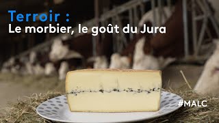 Terroir  le morbier le goût du Jura [upl. by Oznol]