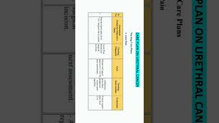 Nursing Care Plan On Urethral Cancer nursing careplan nursingcareplan gnm bscnursing aiims [upl. by Ahselyt]