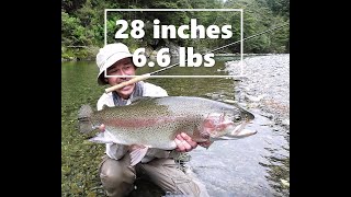 XTREME TENKARA TROUT FISHING 28 in  66 lbs [upl. by Nylidnam607]