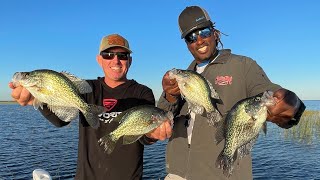 I Caught 50 Crappie In 30 Minutes With This Crappie Fishing SECRET [upl. by Pascasia]