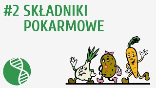 Składniki pokarmowe 2  Odżywianie [upl. by Noemi]