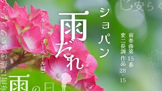 ショパン 前奏曲第15番 変二長調 Op2815 ｢雨だれ｣フルート、ゴーベール編［ナクソス・クラシック・キュレーション おしゃれ］ [upl. by Ynatsyd384]