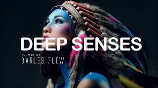 Darles Flow  Deep Senses  Deep Organic Afro Mix [upl. by Arrais]