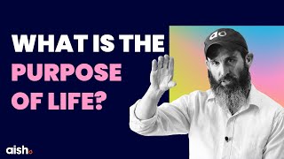 What Is the Purpose of Life  Rabbi Dov Ber Cohen  Mastering Life Series [upl. by Nyer]