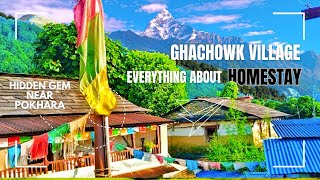 Dont miss this homestay in Pokhara  Ghachok Village  Ghachok gau  Best homestay near Pokhara [upl. by Hesta972]