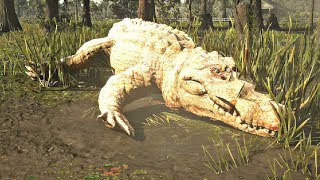 Red Dead Redemption 2  Legendary Giant Crocodile Hunt [upl. by Schrick]